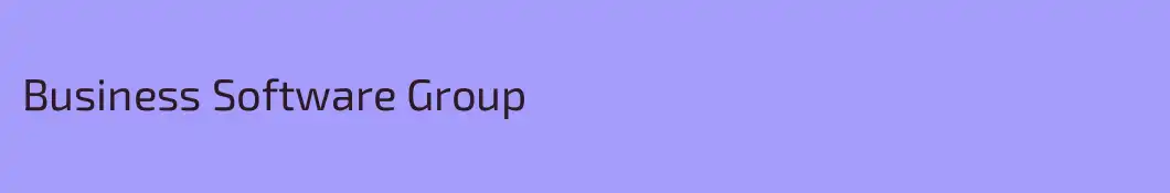 Business Software Group